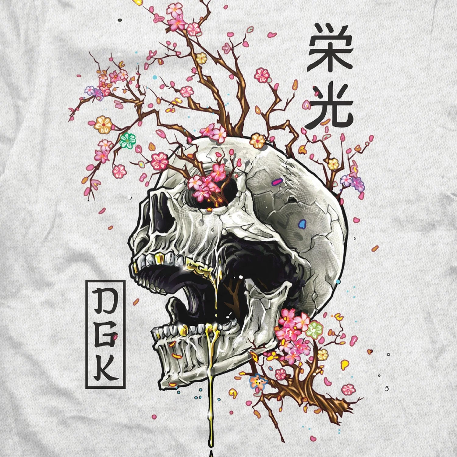 DGK Ancestry Graphic T-shirt - Heather Grey